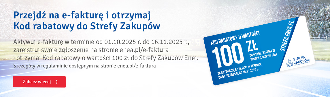 Kod rabatowy 100zł e-faktura Kod rabatowy 100zł e-faktura