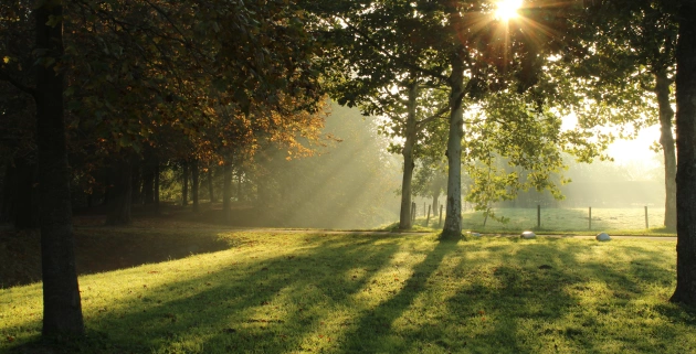 Słoneczny park Słoneczny park