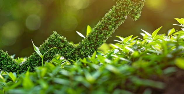 Zielony wykres Zielony wykres