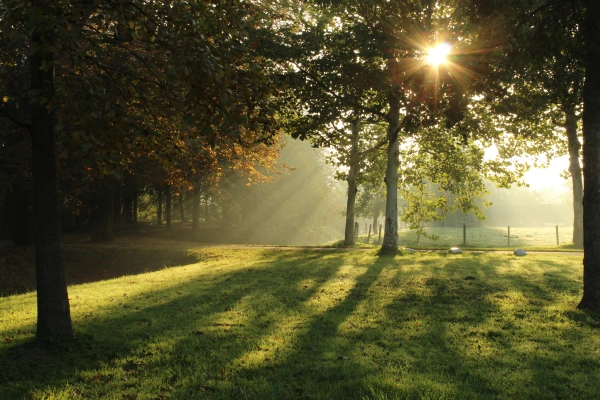 Słoneczny park Słoneczny park