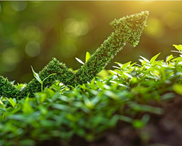 Zielony wykres Zielony wykres